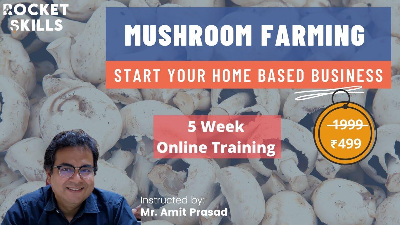 Low Investment Business Idea: Mushroom Farming | Online Training in Hindi 1 maxresdefault 130 compress