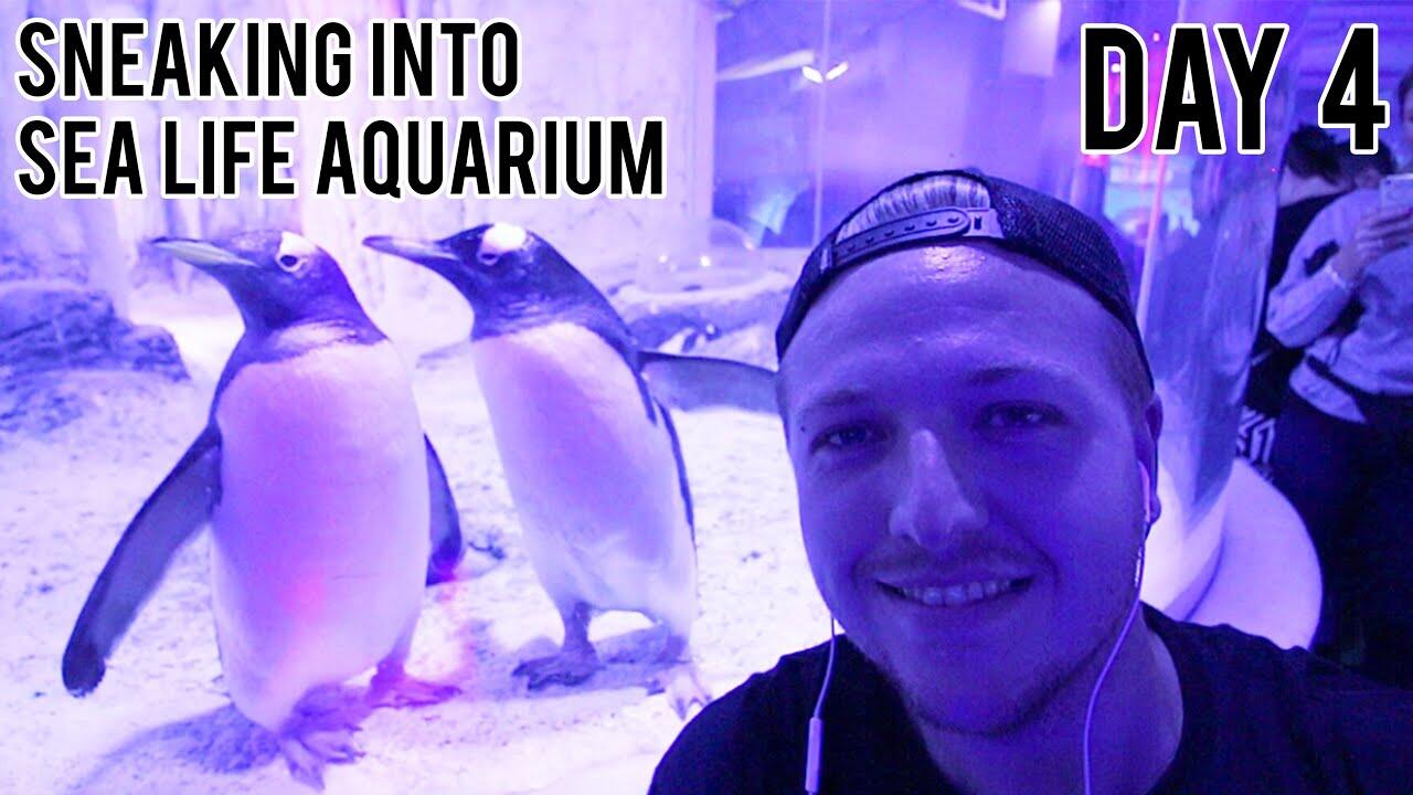 london-with-no-money-day-4 1 maxresdefault 8 compress