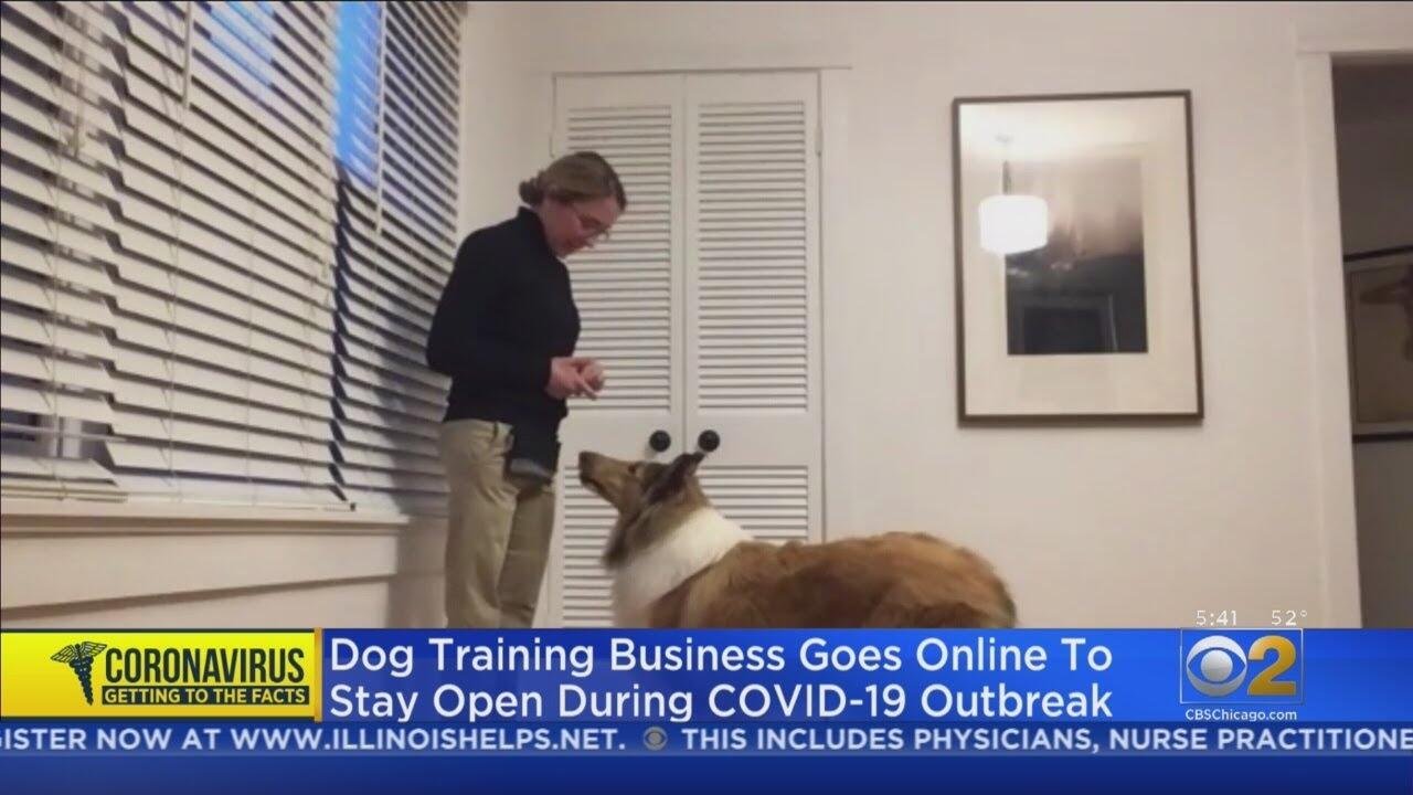 maxresdefault 18 compress