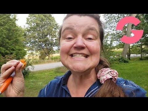 hqdefault 5 compress