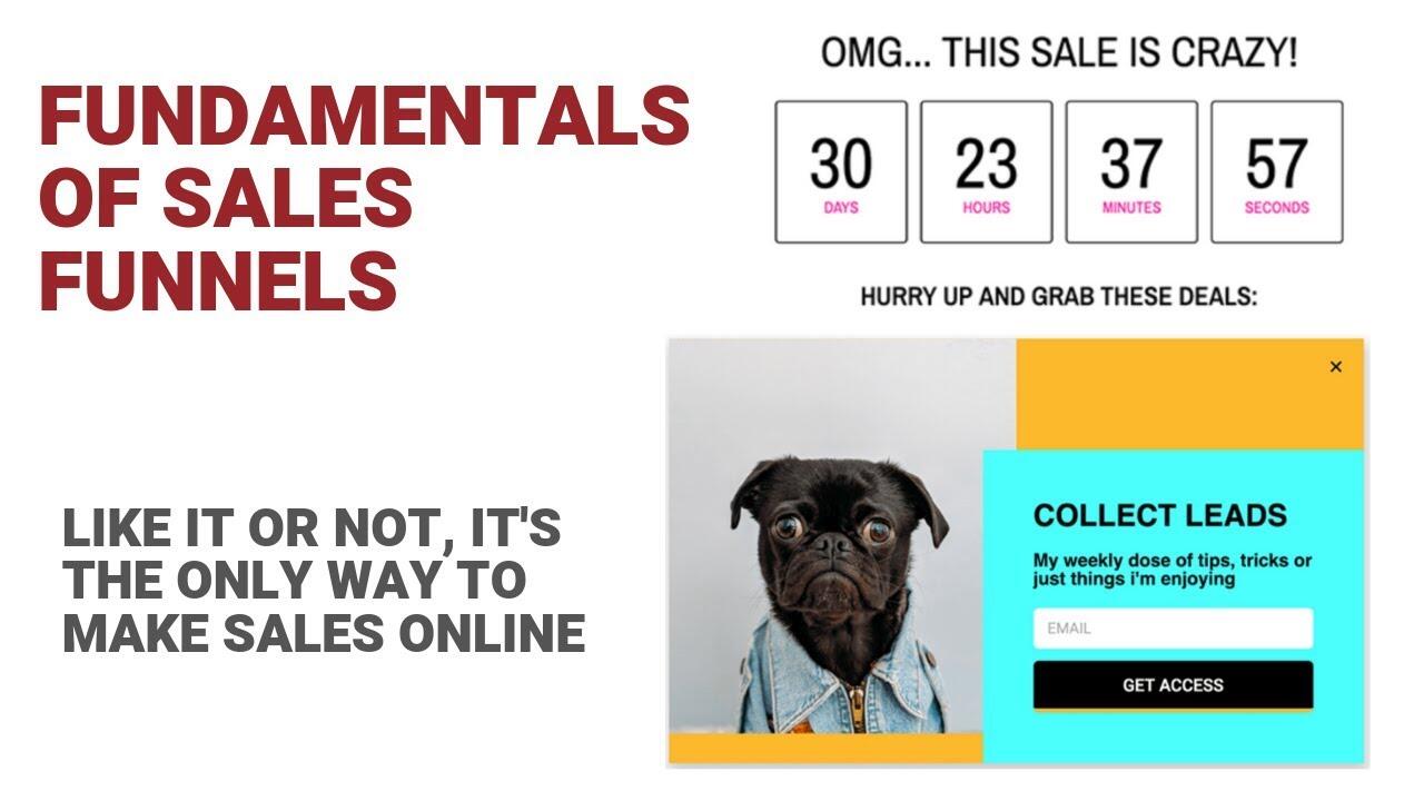 maxresdefault 141 compress