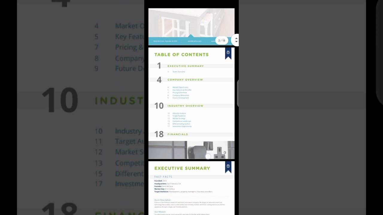 Professional Business plan sample 2 1641517757 maxresdefault compress