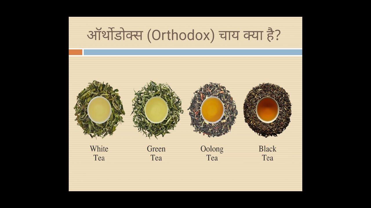 ONLINE TRAINING NEW STARTUP TEA WHOLESALE BUSINESS TRAINING CALL WHATSAPP 7439604982 & 7003419253 10 1641755090 maxresdefault compress