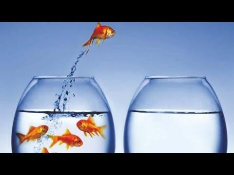 1649570115 hqdefault compress