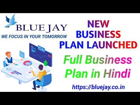 New mlm plan// Blue Jay full business plan in hindi by ONLINE BUSINESS WORLD 1 1654071165 hqdefault compress