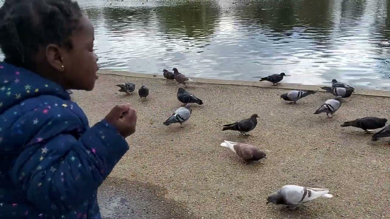 1656753847 maxresdefault compress