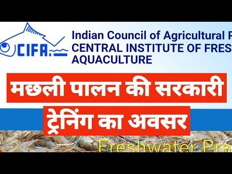 Fish Farming Business Online & Offline Training - CIFA, ICAR (Govt. of India ) 7 1661910128 hqdefault compress