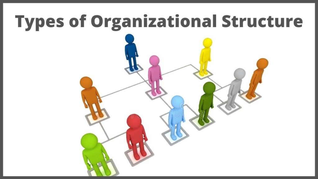 What Are The Types Of Organizational Structure In Management