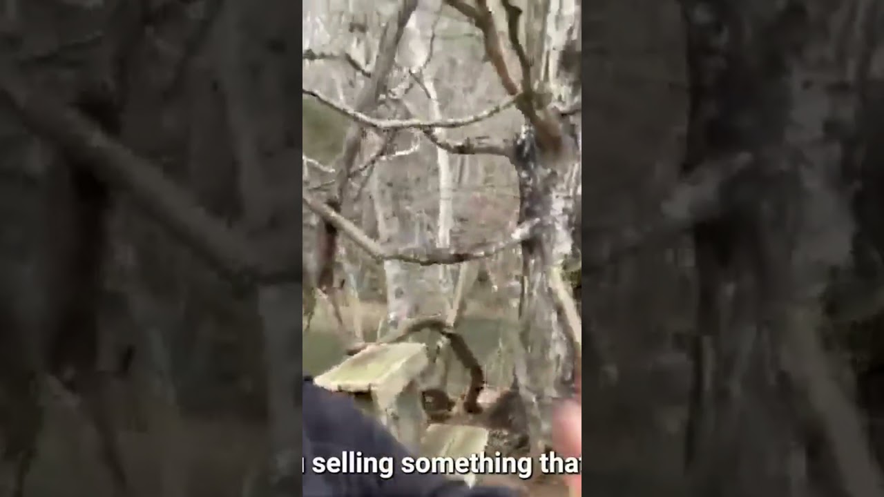 Tai Lopez Training the ecommerce wake up framework part 2 #shorts