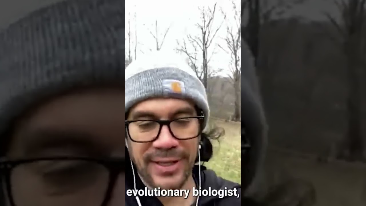 Tai Lopez Training the ecommerce wake up framework part 3 #shorts