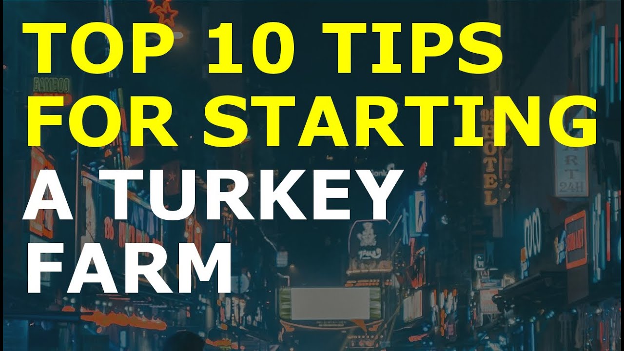 How to Start a Turkey Farm Business | Free Turkey Business Plan Template Included 1 How to Start a Turkey Farm Business | Free Turkey Business Plan Template Included