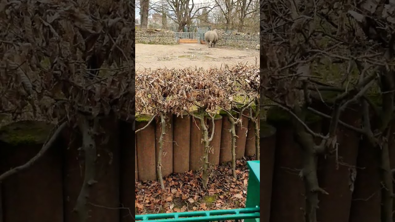 we will help you grow your online business from scratch, our system is ther to work for you 😀.