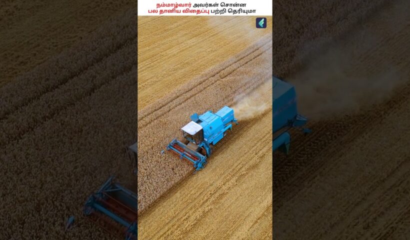 பல தானிய வளர்ப்புக்கு சிறந்த Idea இதான் 🌾💡 #farmingtips