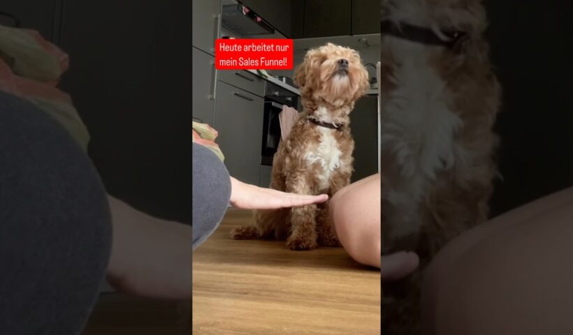 Heute arbeitet nur mein Sales Funnel!