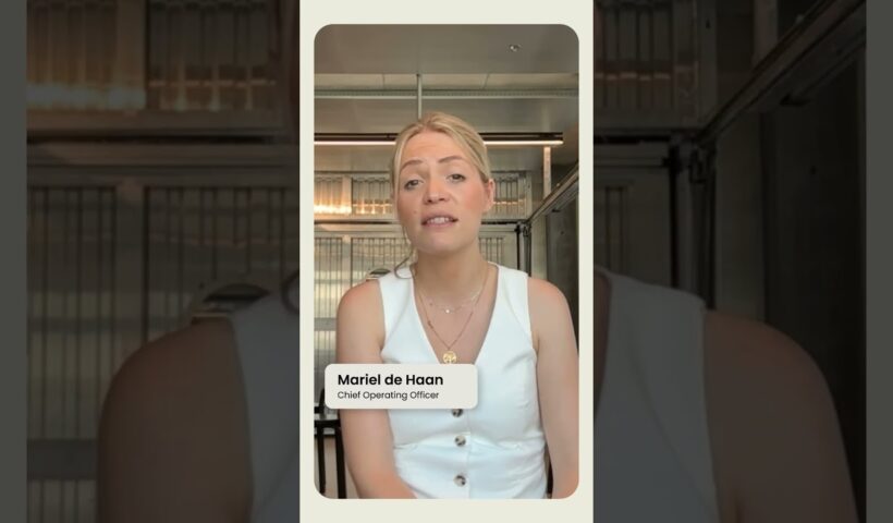 The Power of Data and Analytics in Cosmetic and Beauty Online Training