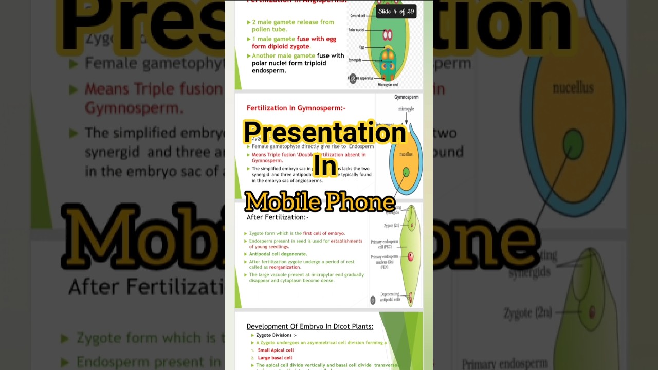 Make Power Point Presentation In Phone#powerpoint #success
