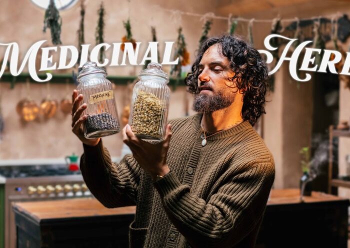 Grow Your Own Pharmacy, 10 Healing Herbs You Need! 🌿