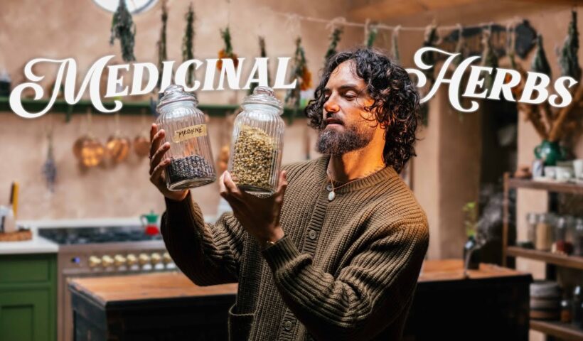 Grow Your Own Pharmacy, 10 Healing Herbs You Need! 🌿