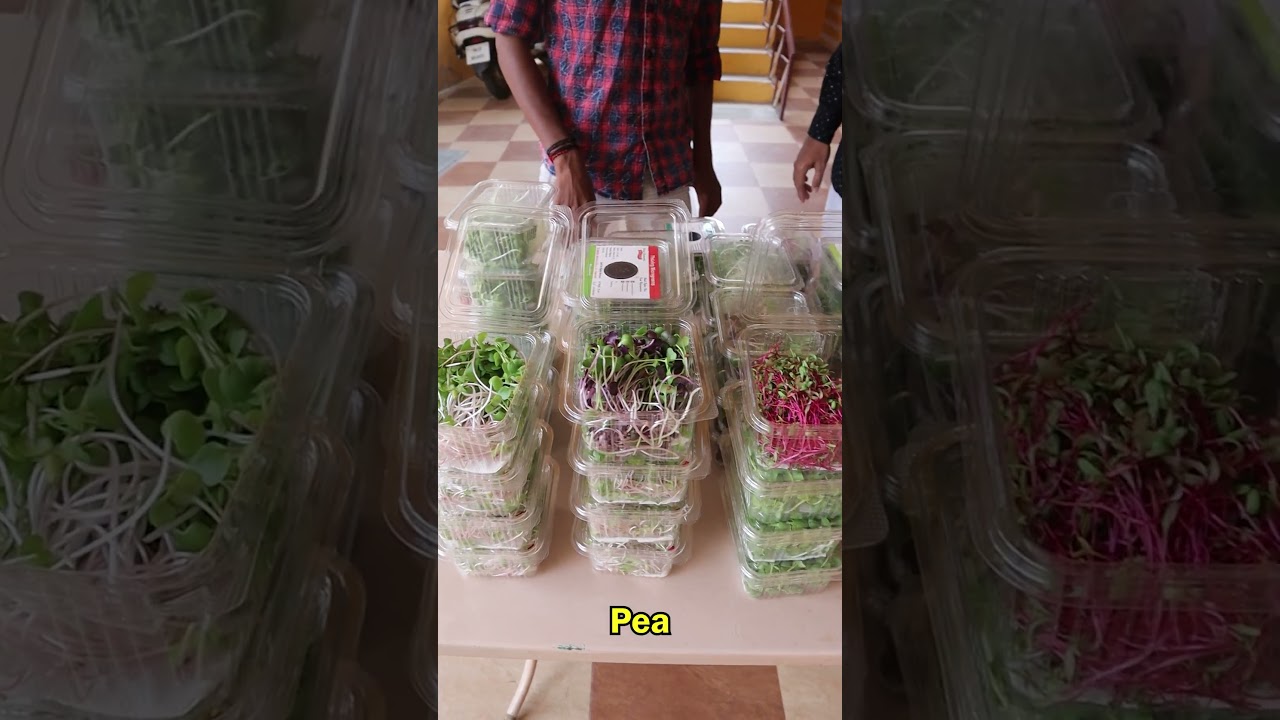 business 10 க்கு செய்து 100 க்கு விற்கலாம், micro green growing