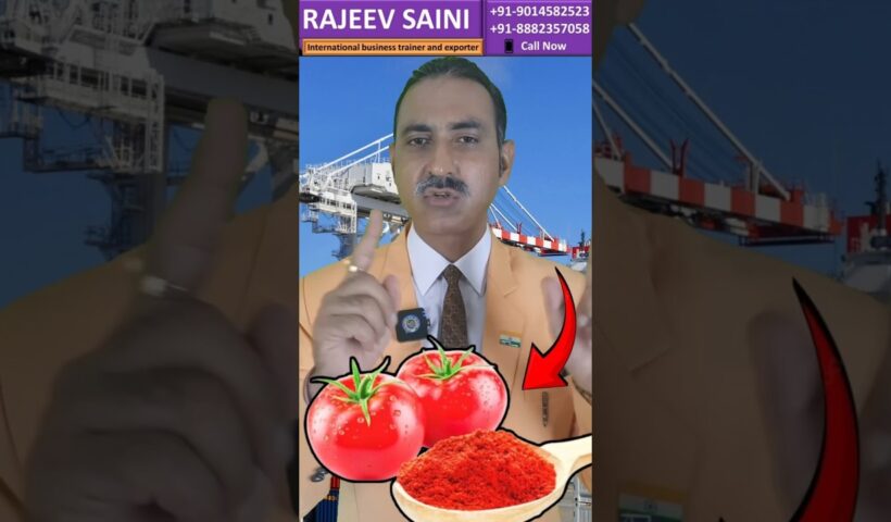Tomato Powder Export Business I Tomato Powder Export | Rajeevsaini #shorts #export #tomato