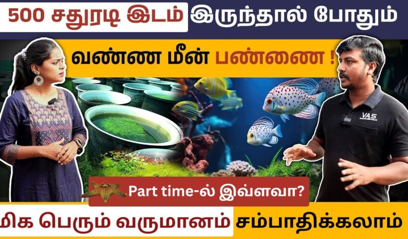 கலர் மீன் பண்ணை ஆரம்பிக்க வேண்டிய வழிகாட்டி! | Color Fish Business ideas in Tamil