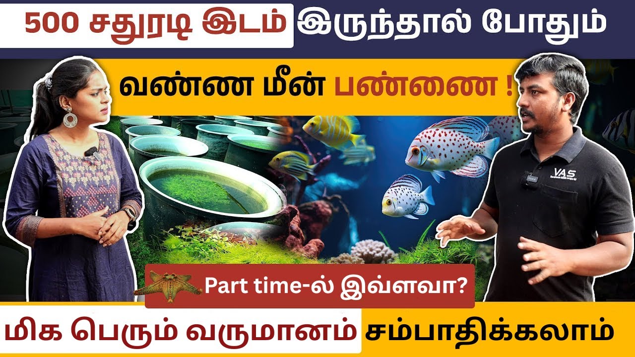 கலர் மீன் பண்ணை ஆரம்பிக்க வேண்டிய வழிகாட்டி! | Color Fish Business ideas in Tamil