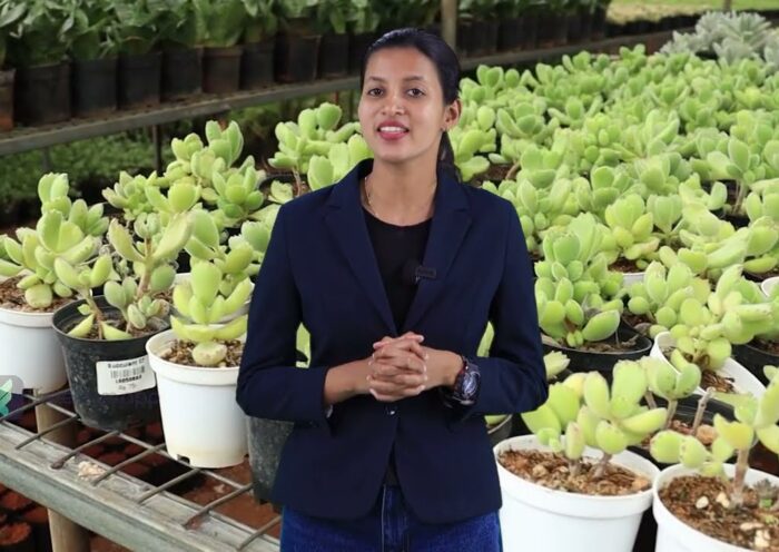 Plant Nursery Business Ideas in Malayalam - How to Start and Earn a Steady Monthly Income