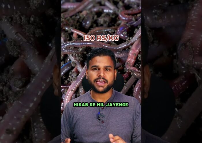 Vermicompost Business in India