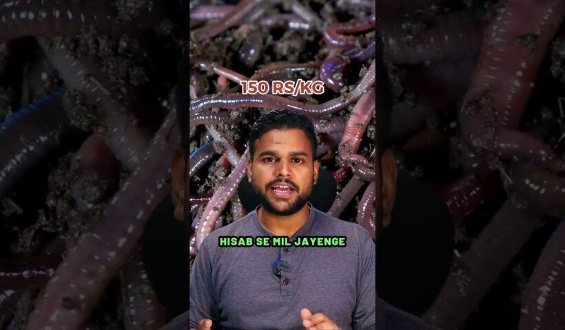 Vermicompost Business in India