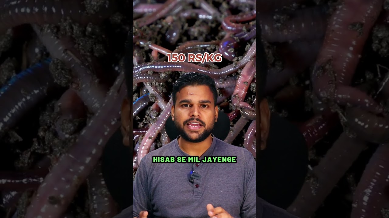 Vermicompost Business in India