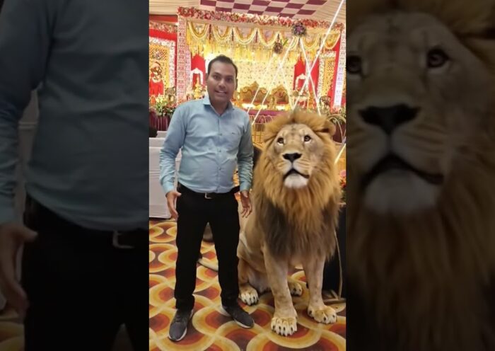 AI Ka Future 2026 | Artificial Intelligence Se Paise Kaise Kamaye | ChatGPT Viral Ideas | AI 32 AI Ka Future 2026 | Artificial Intelligence Se Paise Kaise Kamaye | ChatGPT Viral Ideas | AI