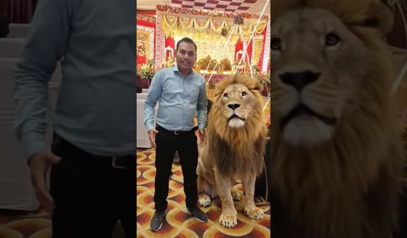 AI Ka Future 2026 | Artificial Intelligence Se Paise Kaise Kamaye | ChatGPT Viral Ideas | AI