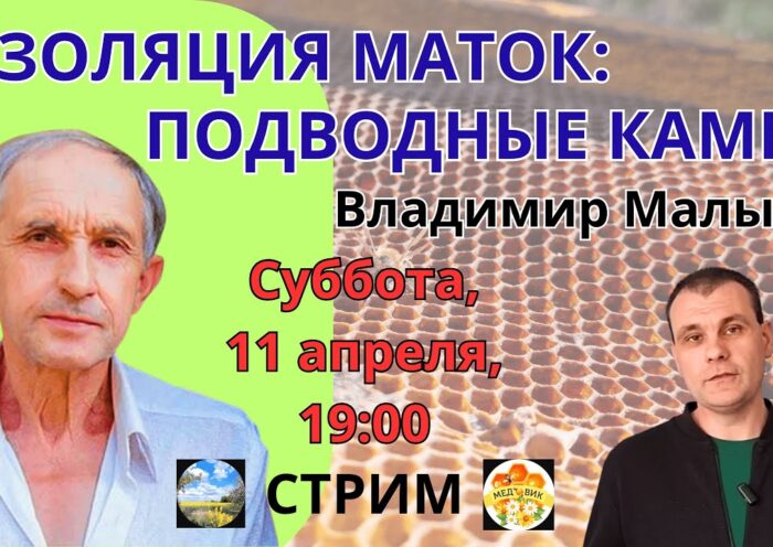 Изоляция маток — подводные камни. Прямой эфир с В. Е. Малыхиным 11.04.26