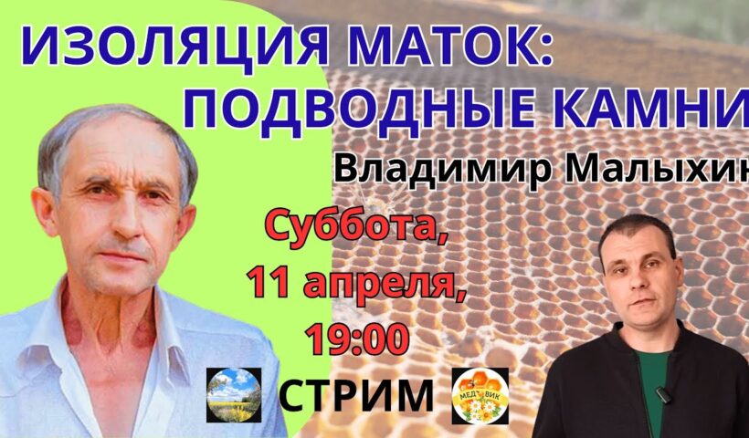 Изоляция маток — подводные камни. Прямой эфир с В. Е. Малыхиным 11.04.26
