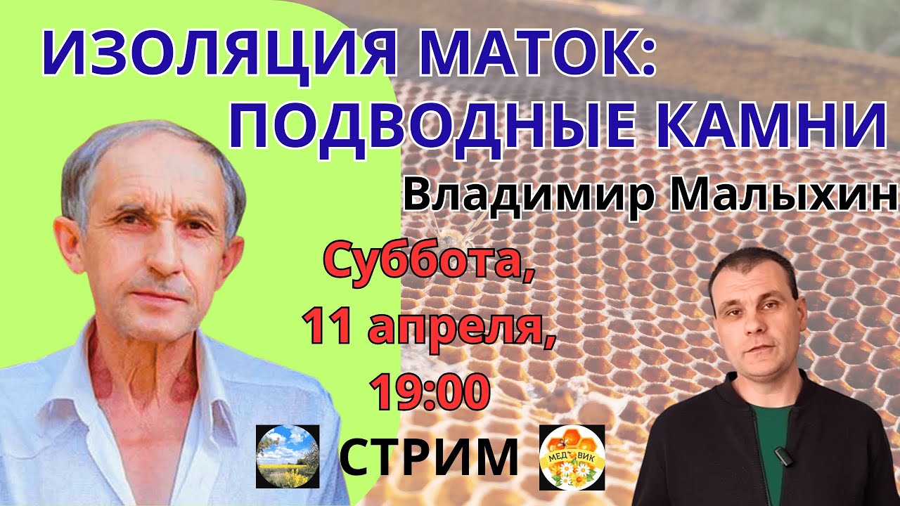 Изоляция маток — подводные камни. Прямой эфир с В. Е. Малыхиным 11.04.26