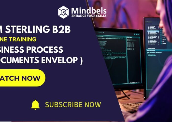 IBM Sterling B2B || Understanding Business Processes & Document Envelopes || Online training || 8 IBM Sterling B2B || Understanding Business Processes & Document Envelopes || Online training ||