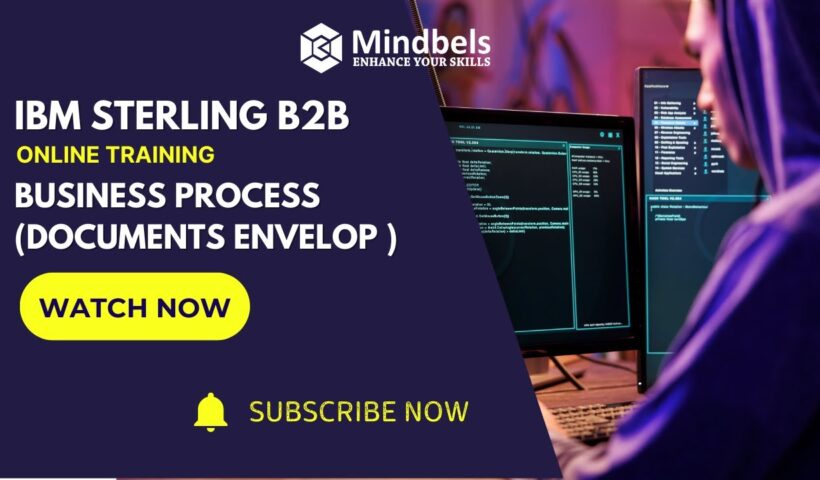 IBM Sterling B2B ||  Understanding Business Processes & Document Envelopes || Online training ||
