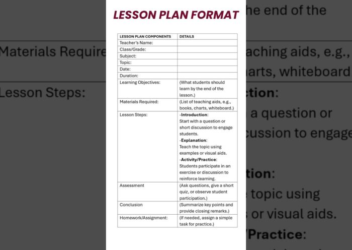 Lesson Plan Format and Solved Example | #format #lessonplan #teacher
