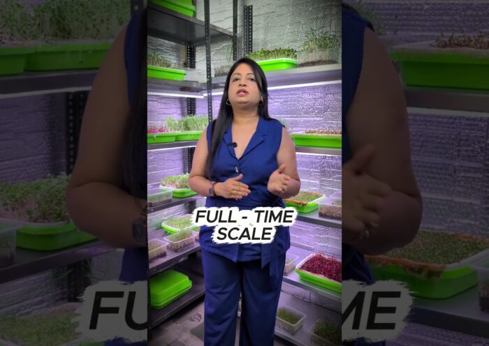 Microgreens Business Complete Blueprint | 2 Days LIVE Online Training
