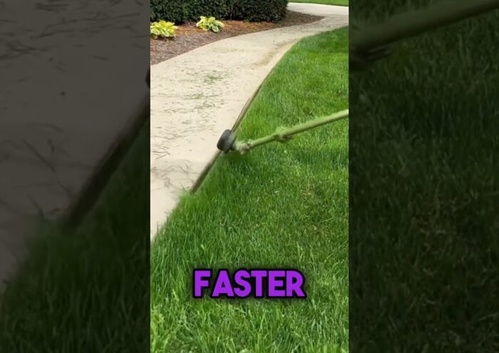I Ran A Lawn Care Business For 30 Days.. Here’s How It Went