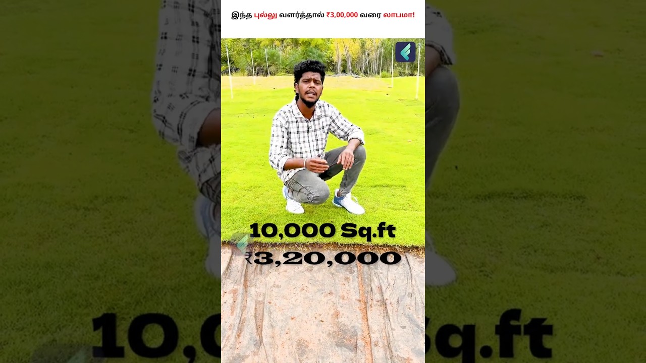 The EASY Way to Grow Your LAWN GRASS Empire - Mexican Lawn Grass Business🌱💰 #Shorts