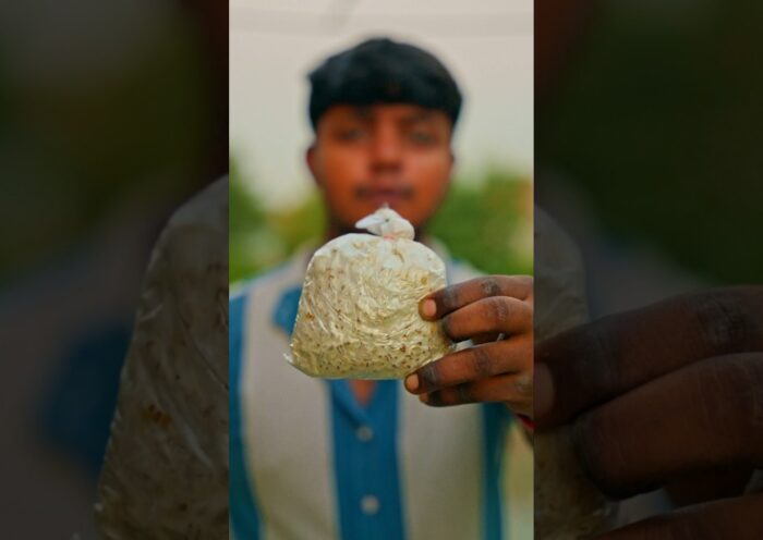 Grow mushrooms in ₹69. #mushroom #mushroomspawn