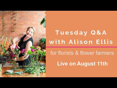 Tuesday Q&A, August 11, 2026 1 Tuesday Q&A, August 11, 2026