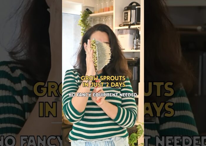 How to grow Sprouts at home #asmrfood #sprouts #sprouting #method